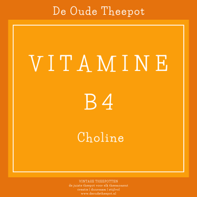 VTM005-VITAMINE-B4-CHOLINE-VITAMINEN-FYTONUTRIËNTEN